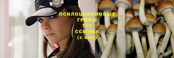 дживик Алзамай