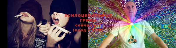 спиды Алексеевка